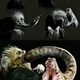 Illustration for article titled Harry Potter's Dragons And Other Beasts, As You've Never Seen Them
